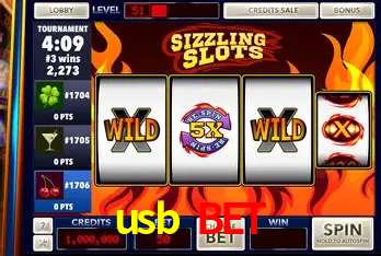 Apostas Esportivas na usb bet: Um Guia Completo